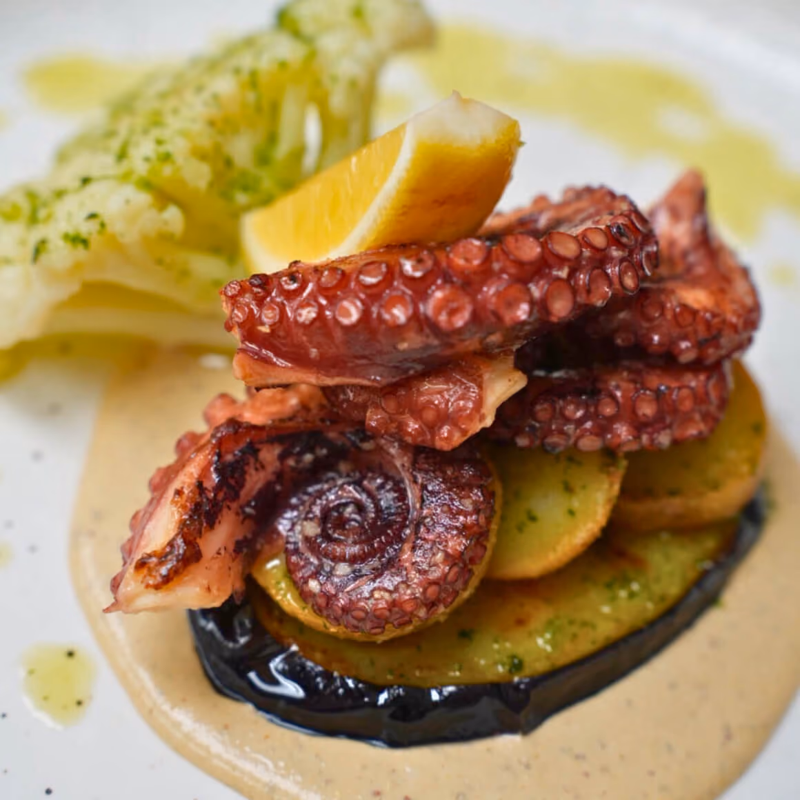 Grilled Octopus