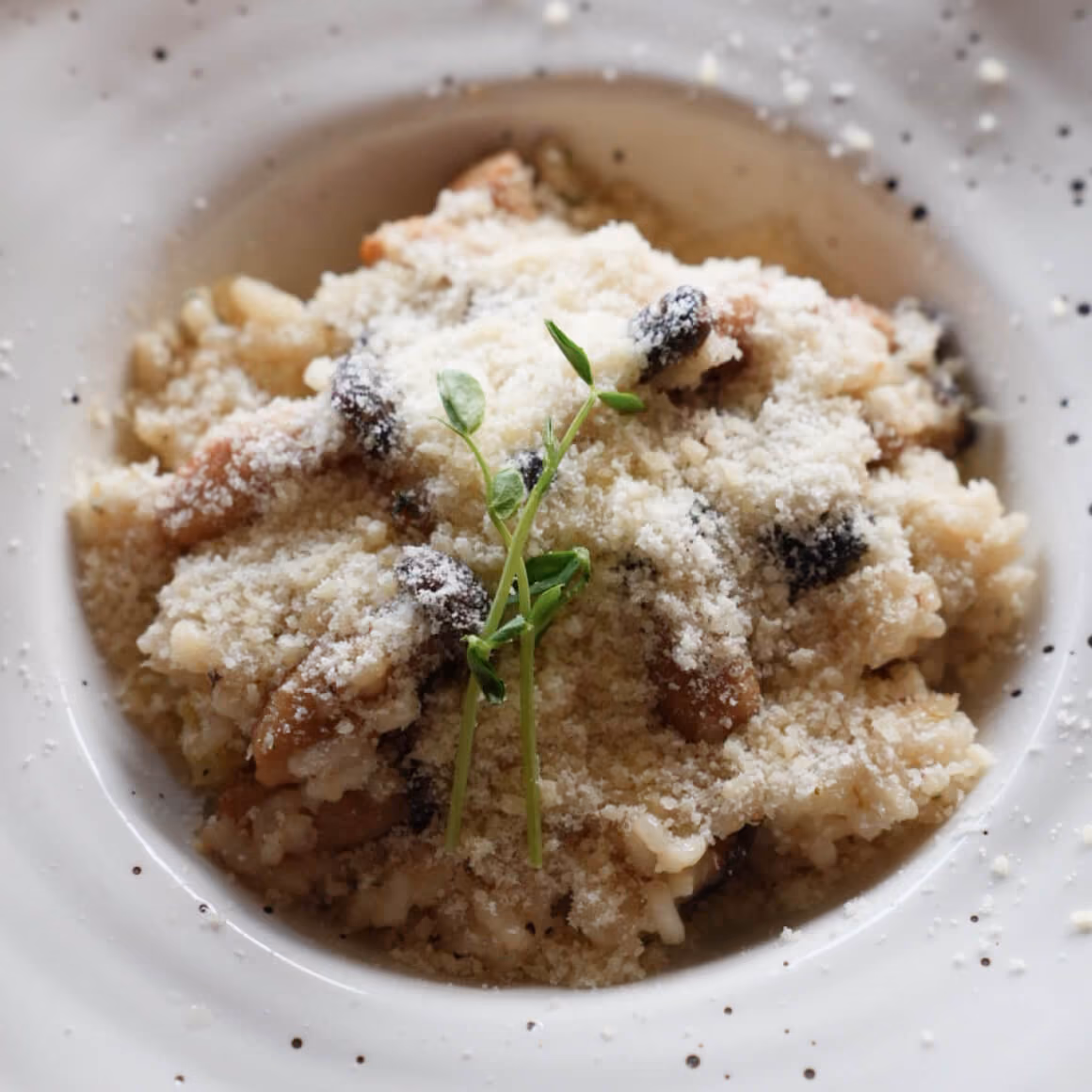 Mushroom Risotto