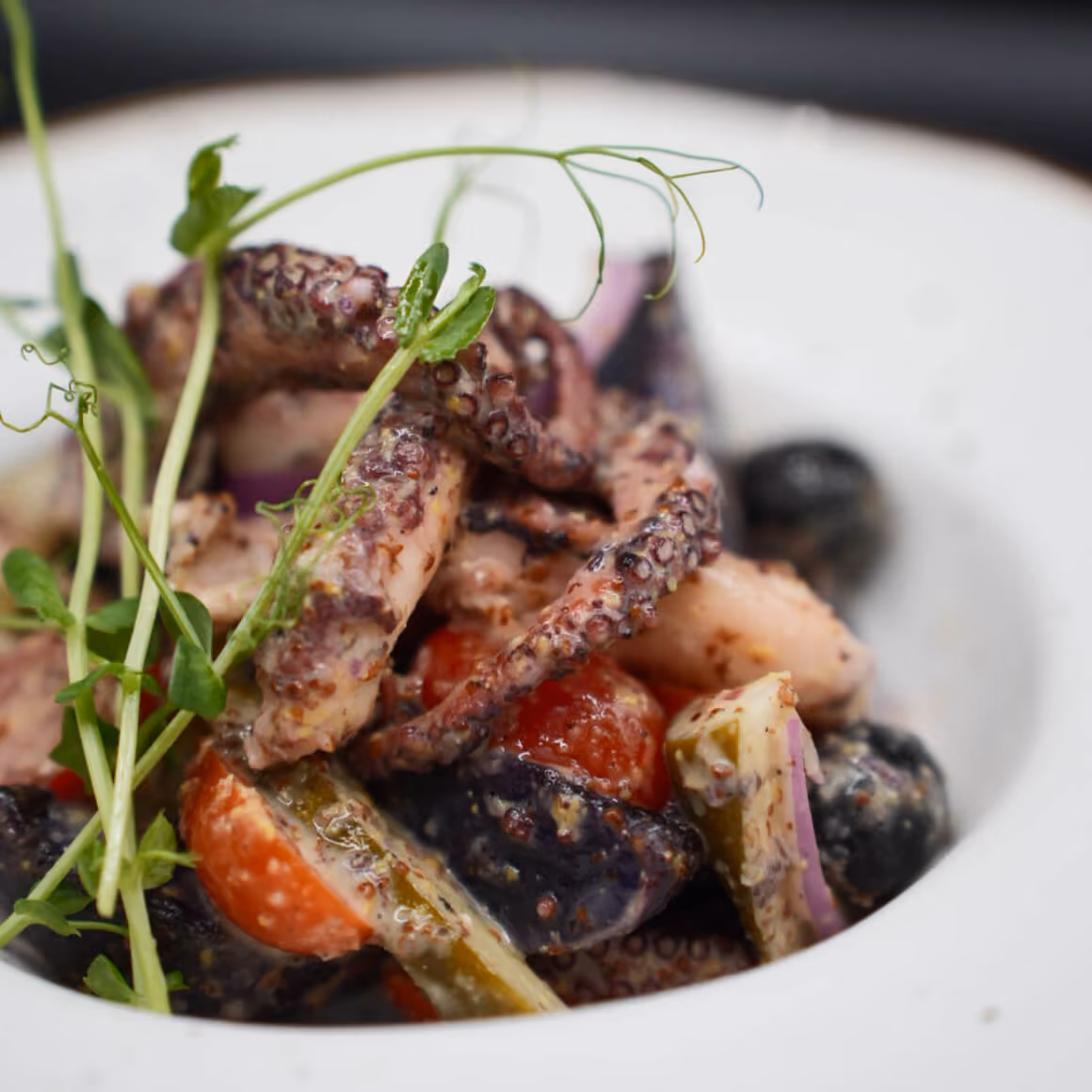Octopus Salad