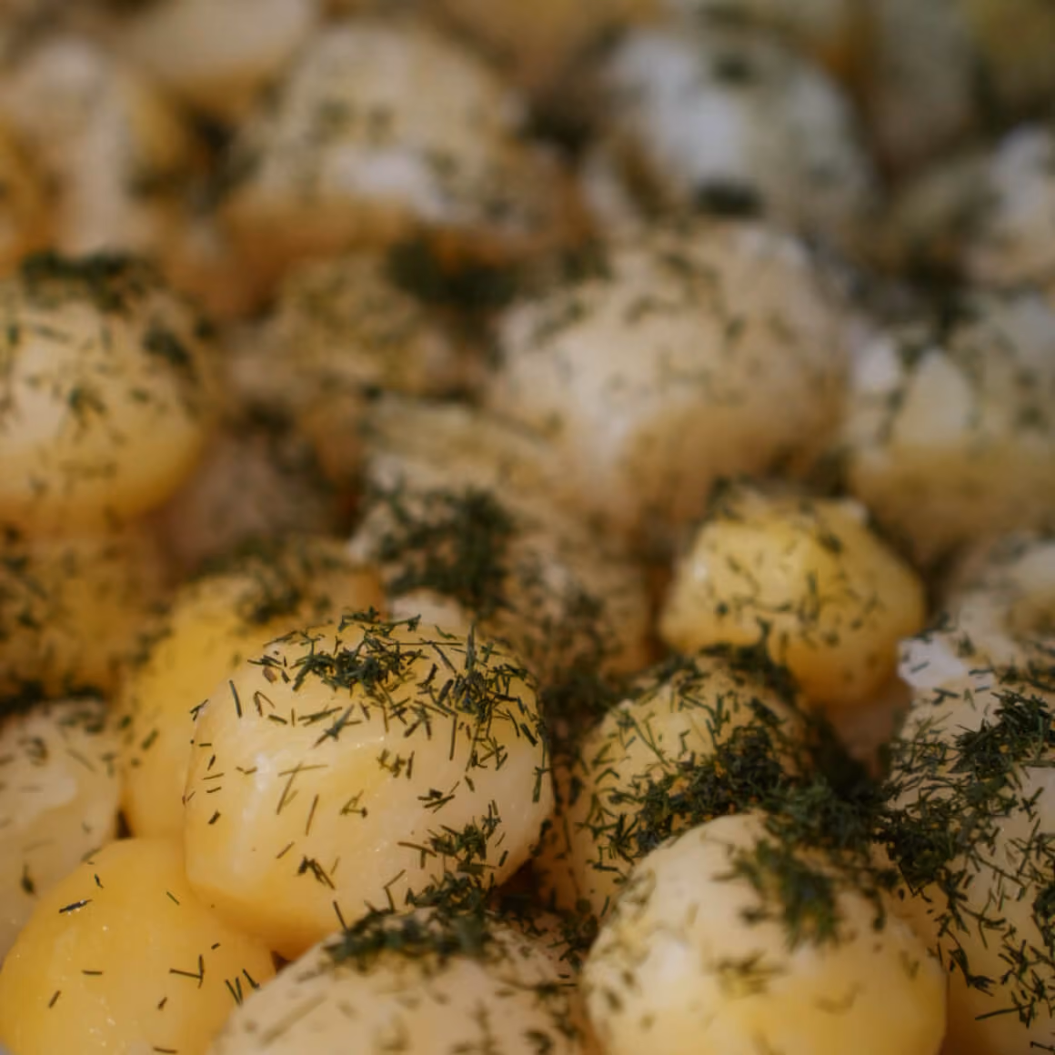 Young Potato With Dill