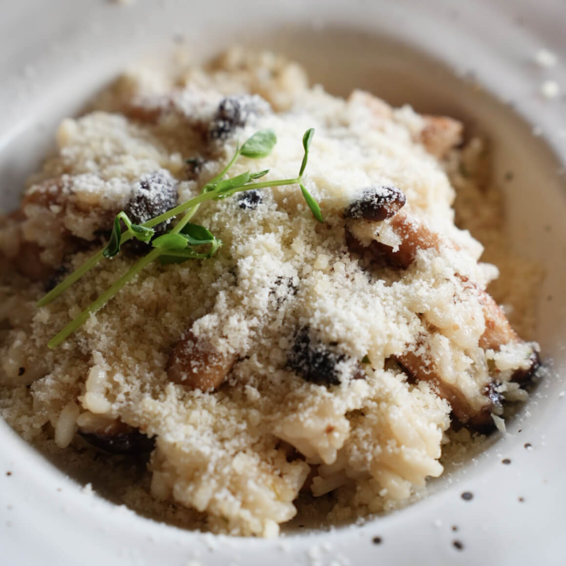 Mushroom Risotto