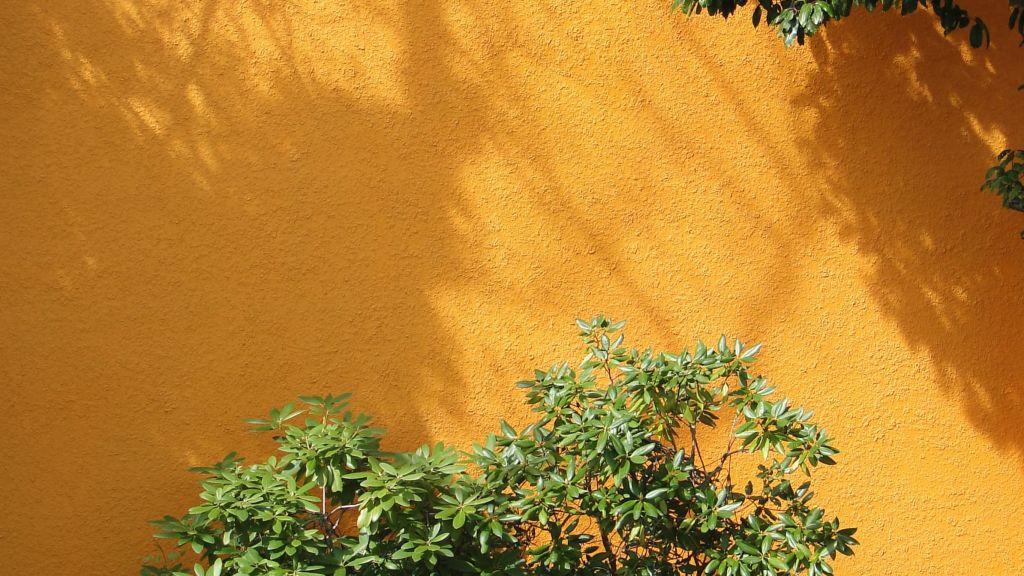 stucco repair winnipeg