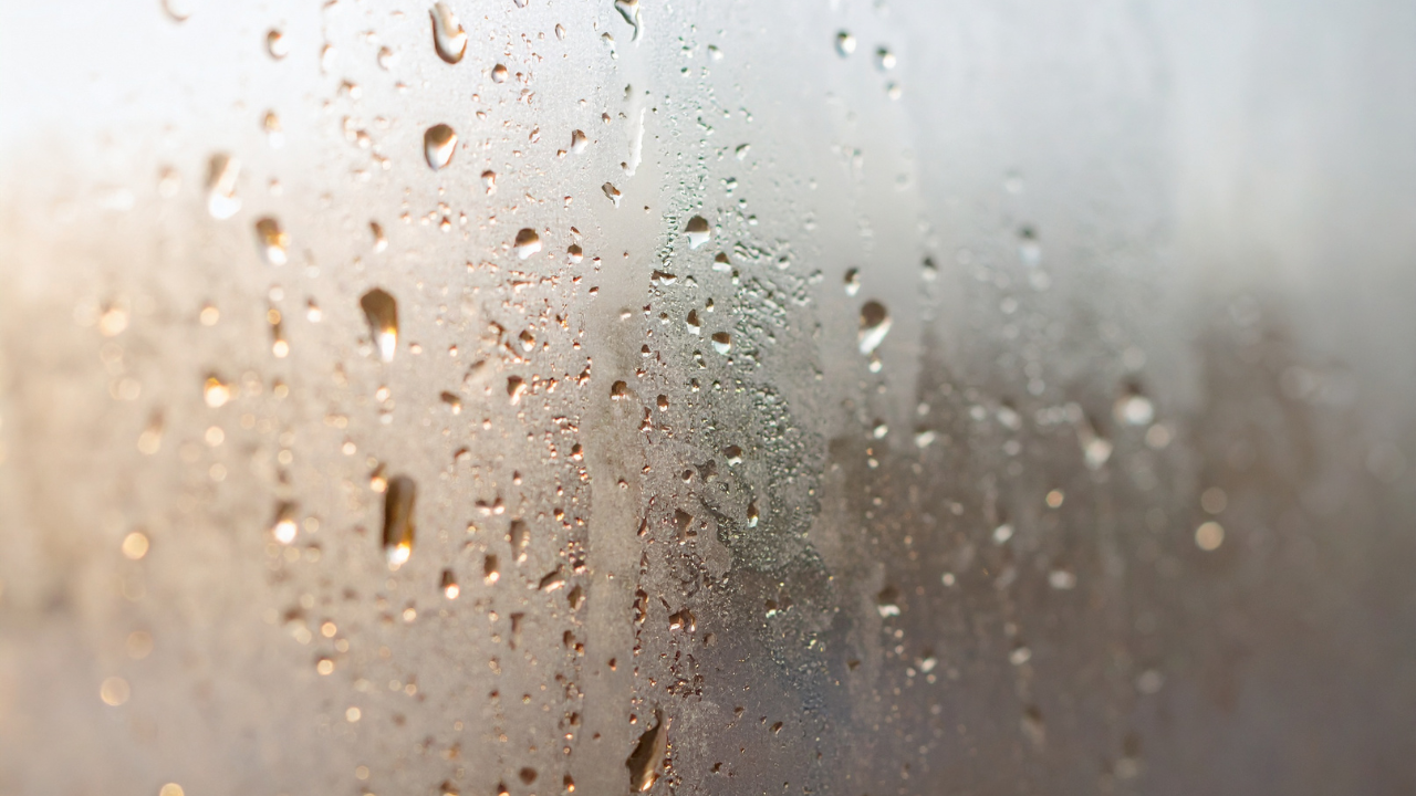 condensation on a wall​