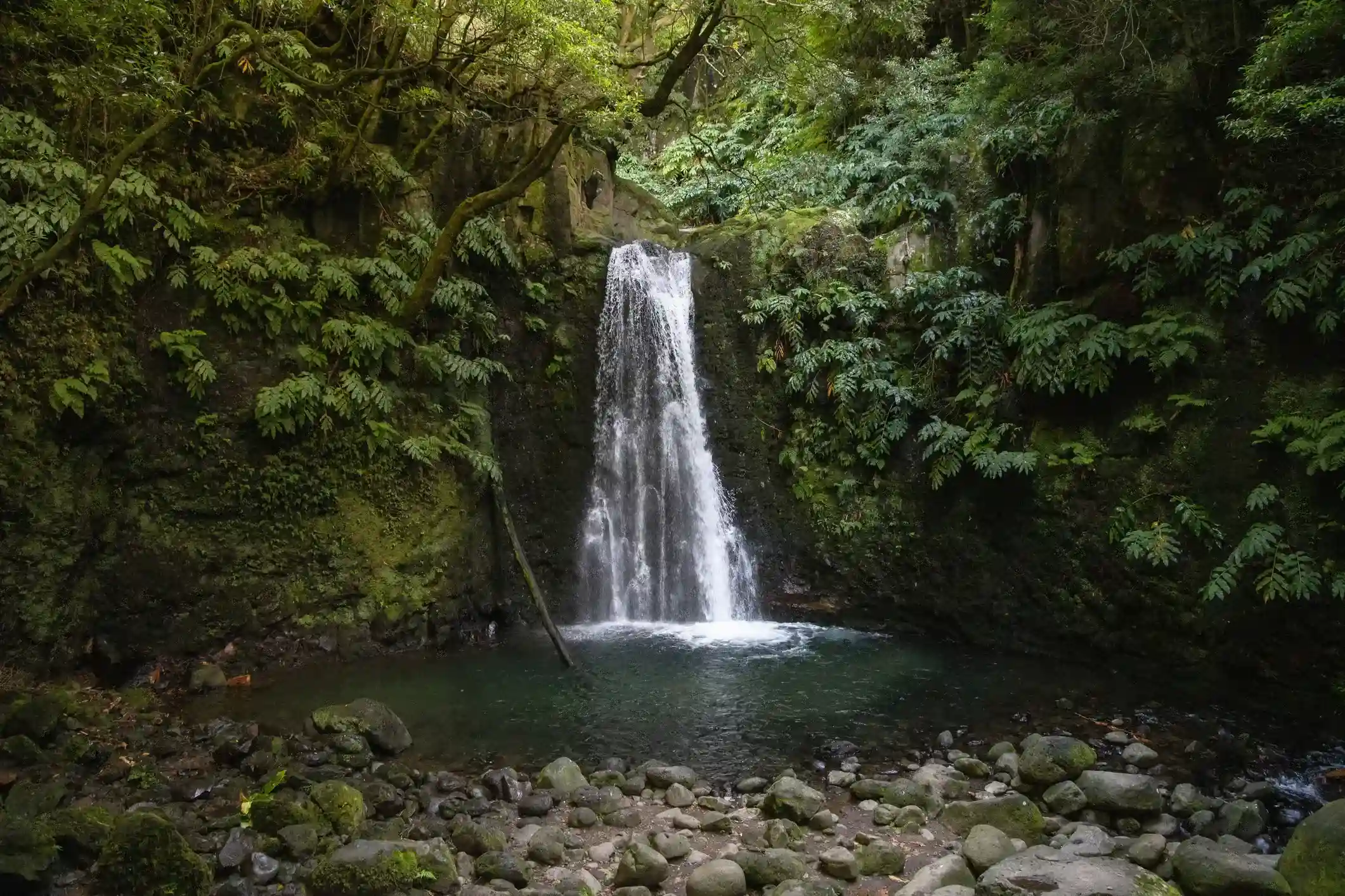 a small waterfall in the middle of a forest
