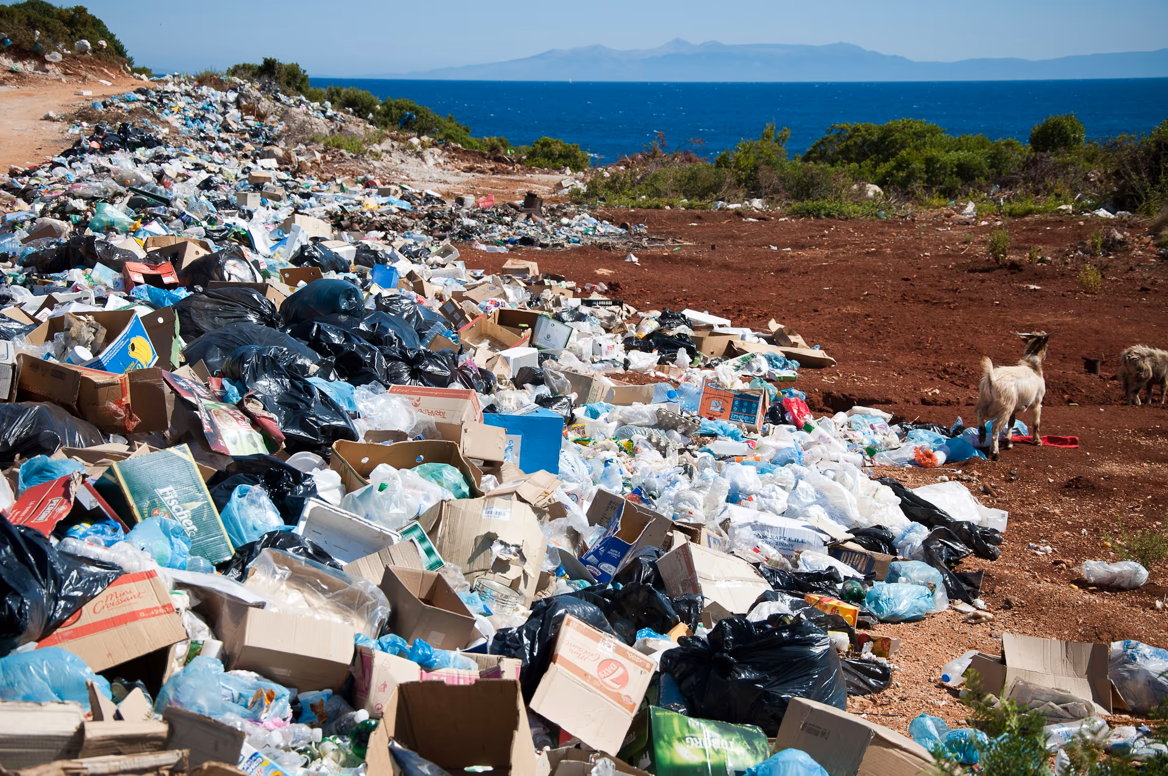 A pile of garbage, predominantly plastic waste. lies dumped next to a forest area with the sea in the background.