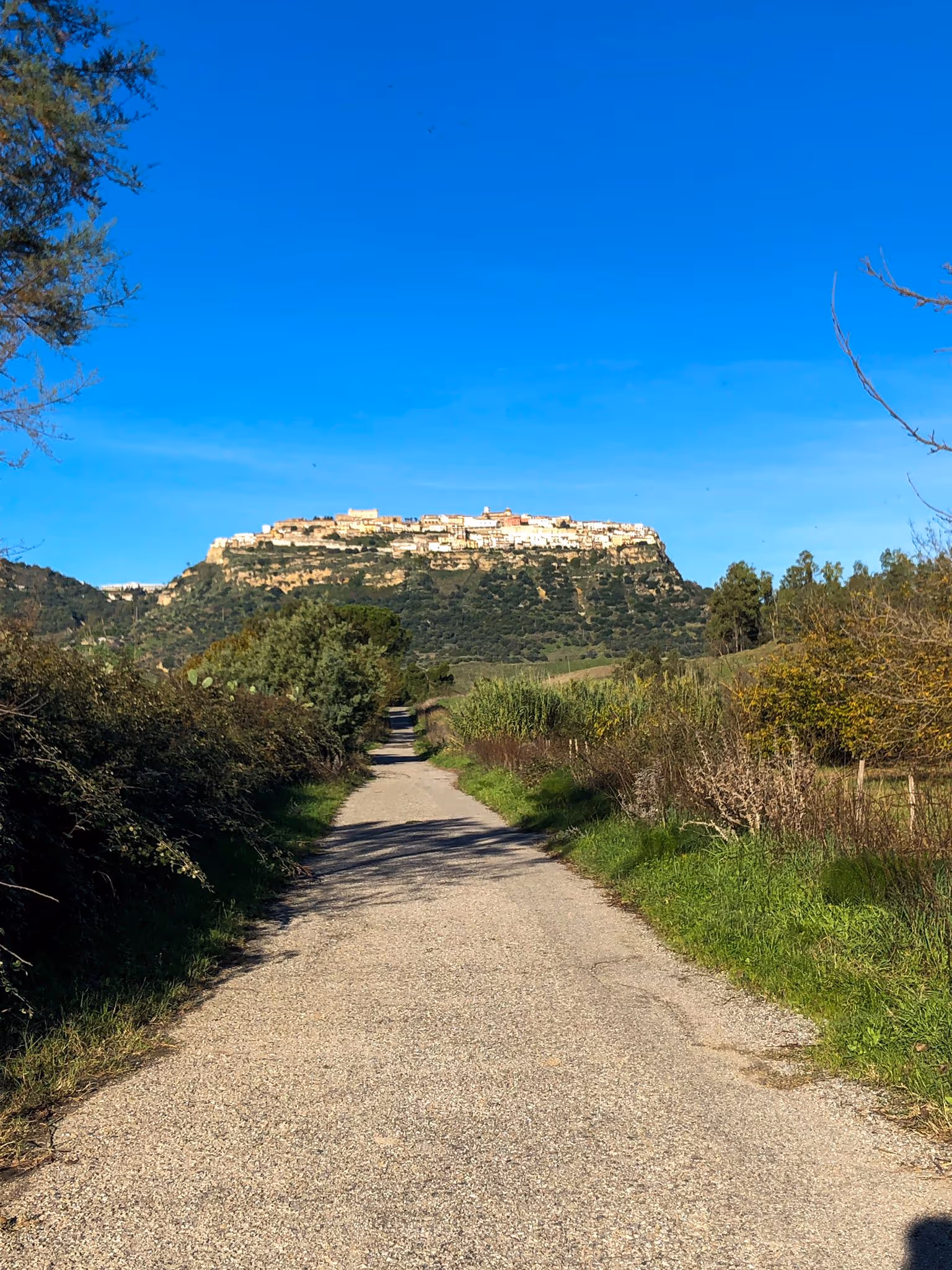 Eine asphaltierte Landstraße führt unter strahlend blauem Himmel zum weit entfernten Dorf Santa Severina auf einem Hügel, das zu beiden Seiten des Weges von Grün umgeben ist.