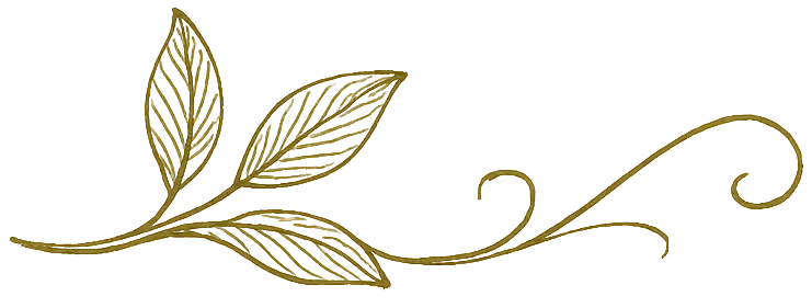 Einfache Strichzeichnung von drei Blättern und einer wirbelnden Ranke, alles in einer gedämpften Goldfarbe, auf einem schlichten Hintergrund.
