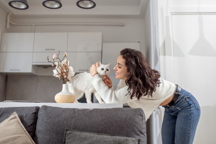 HVAC Resources and installation