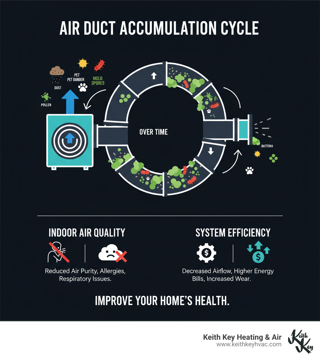 Infographic showing how dust, pollen, pet dander, mold spores, and bacteria accumulate in air ducts over time and circulate through a home's HVAC system, affecting indoor air quality and system efficiency - duct cleaning service tallahassee infographic 