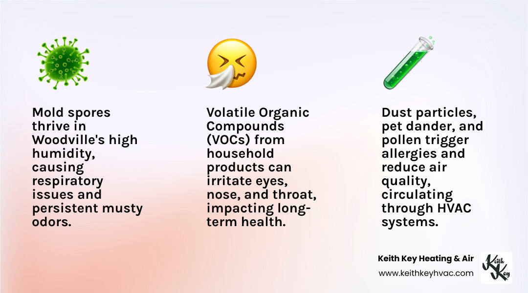 infographic showing common indoor air pollutants including dust particles, mold spores, pet dander, pollen, VOCs from cleaning products, and humidity indicators with health impact icons - same day air quality repair woodville fl infographic 3_facts_emoji_light-gradient infographic showing common indoor air pollutants including dust particles, mold spores, pet dander, pollen, VOCs from cleaning products, and humidity indicators with health impact icons - same day air quality repair woodville fl infographic 3_facts_emoji_light-gradient