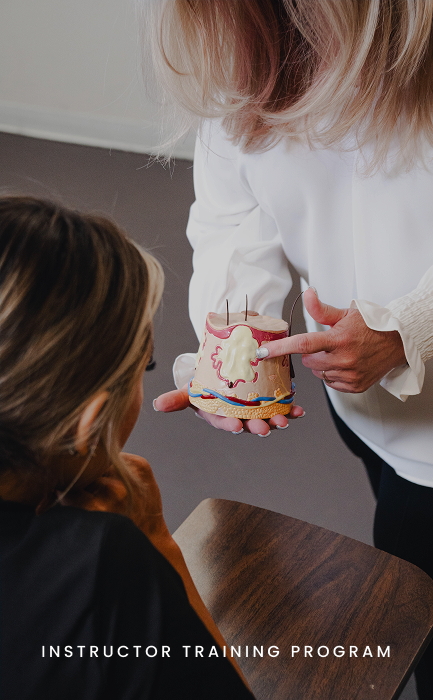 Aesthetics instructor leading a training session at SMI