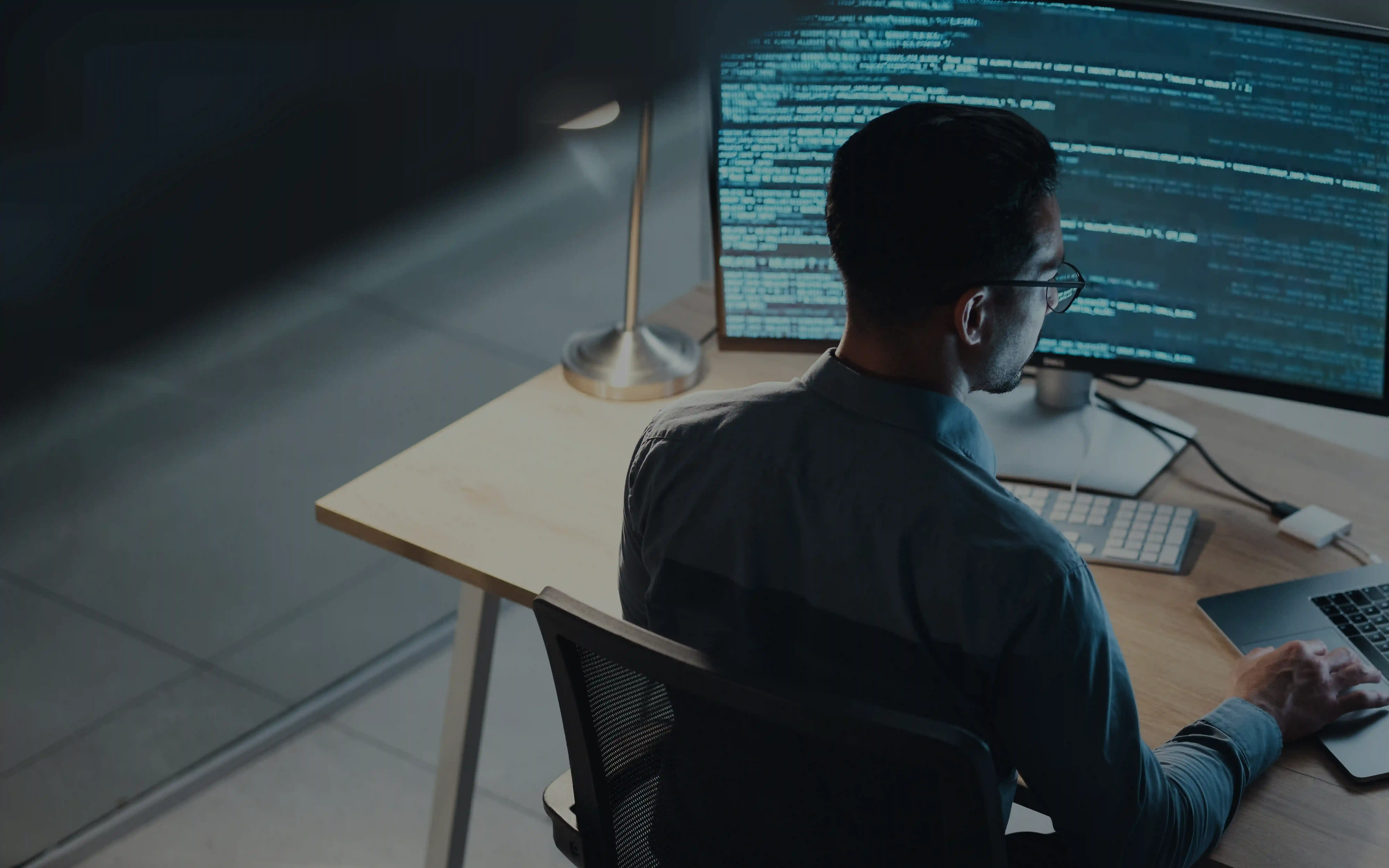 Software Consultancy