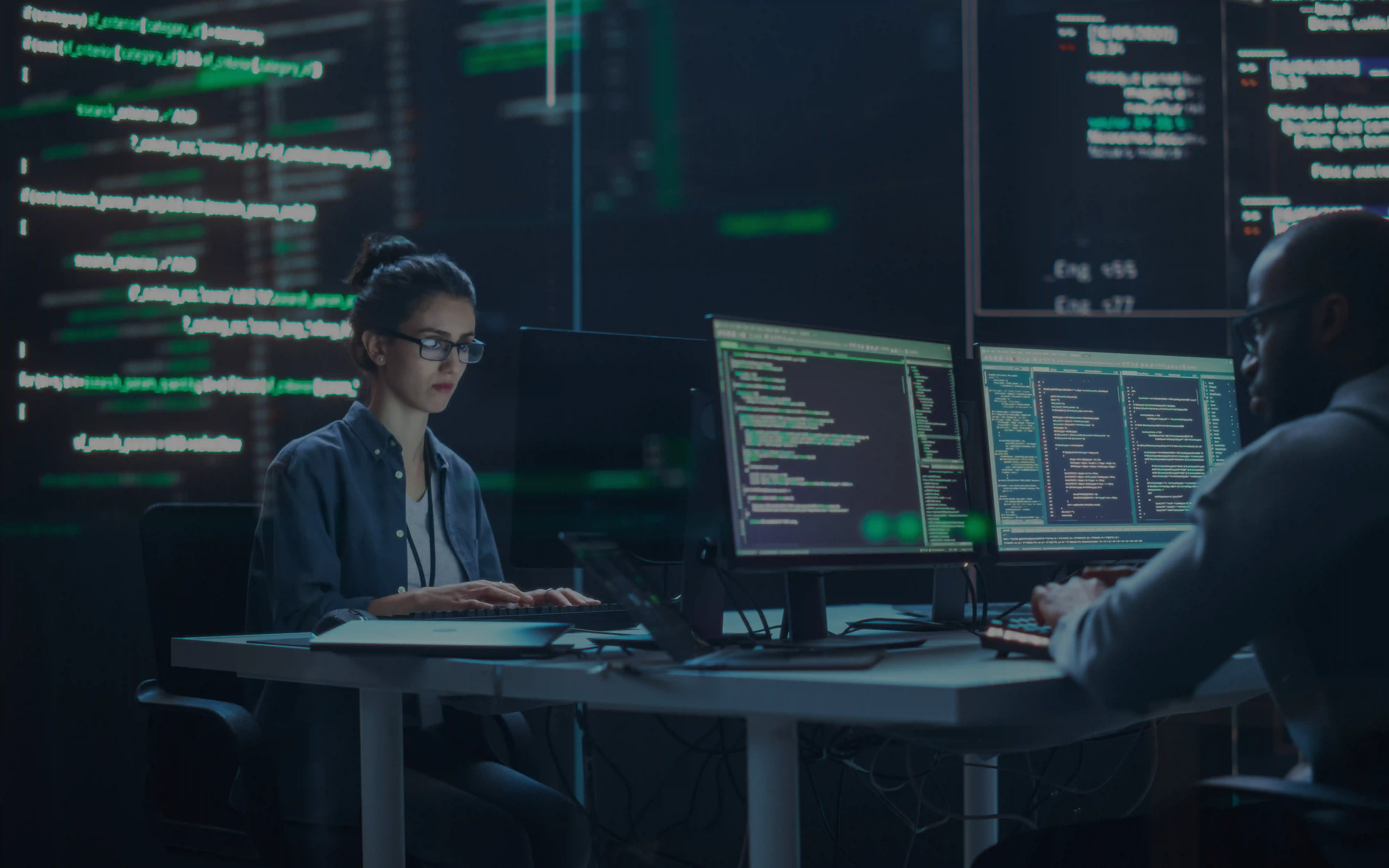 Software Testing & Support