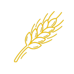Dessin simple d'une épi de blé jaune sur fond noir