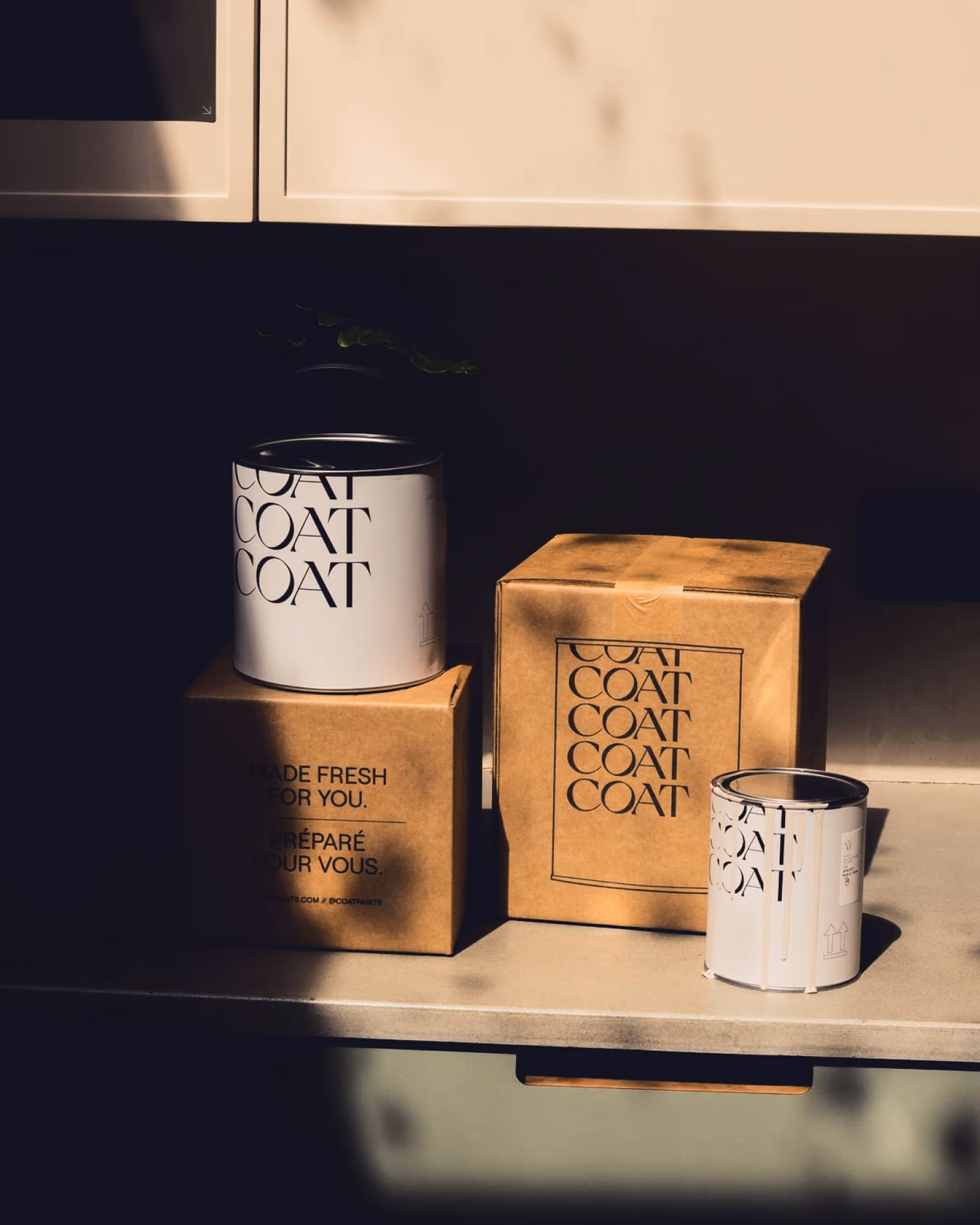 COAT Paints Packaging