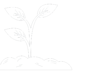 arbre qui pousse perenys