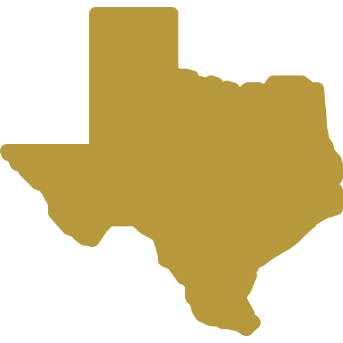 Icon in the shape of Texas.