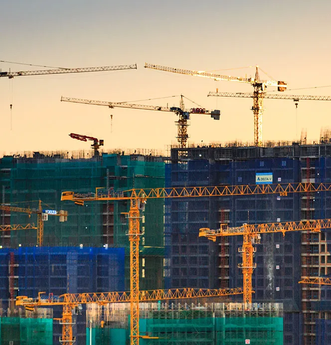 A dozen cranes building buildings