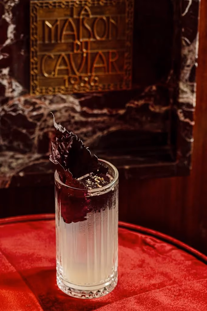 Découvrez notre bar à cocktail Paris 8, où chaque cocktail maison est une œuvre d'art. Nos mixologues partagent aussi des recettes cocktails faciles pour que vous puissiez recréer ces délices chez vous.
