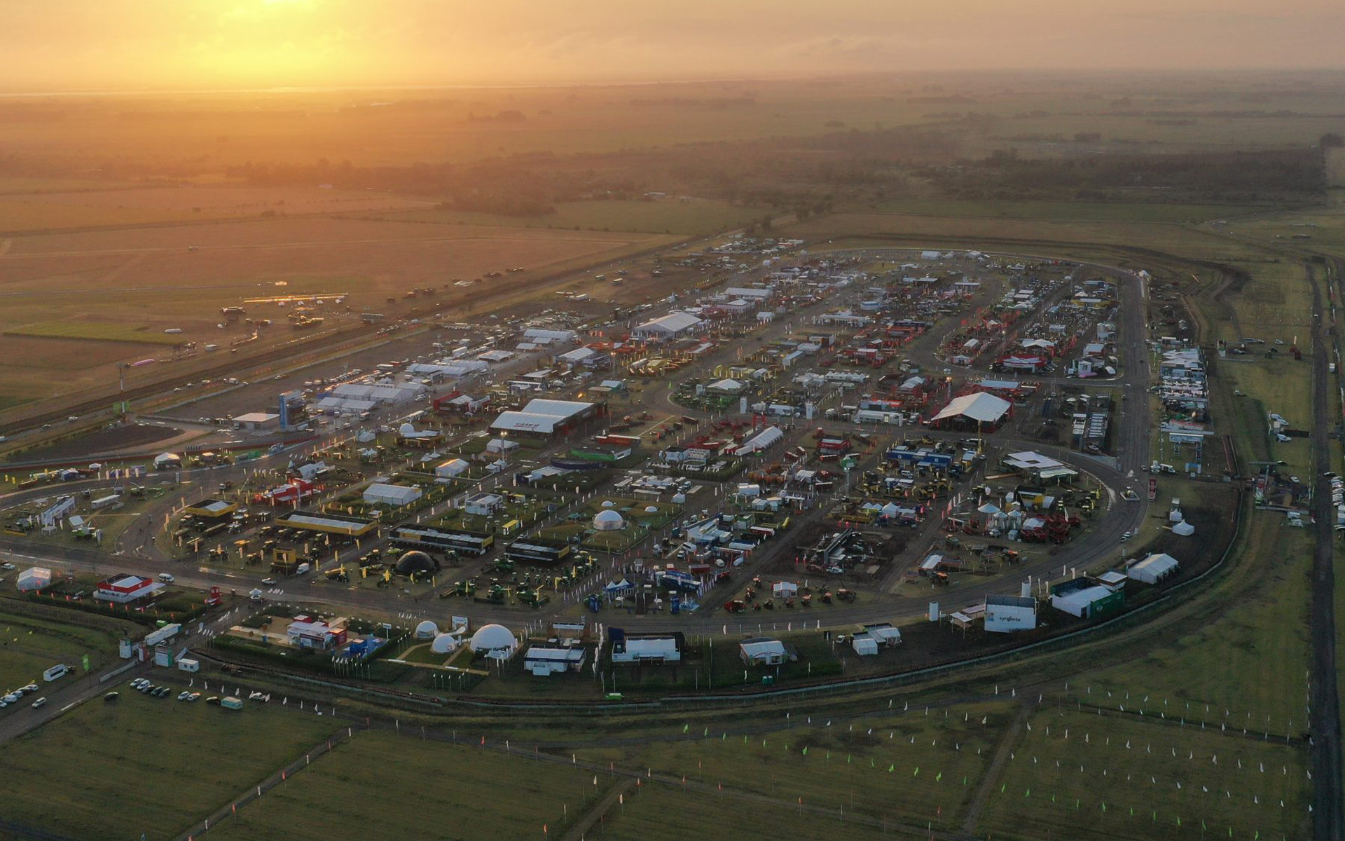 Beautiful young woman in orange glasses on orange background.