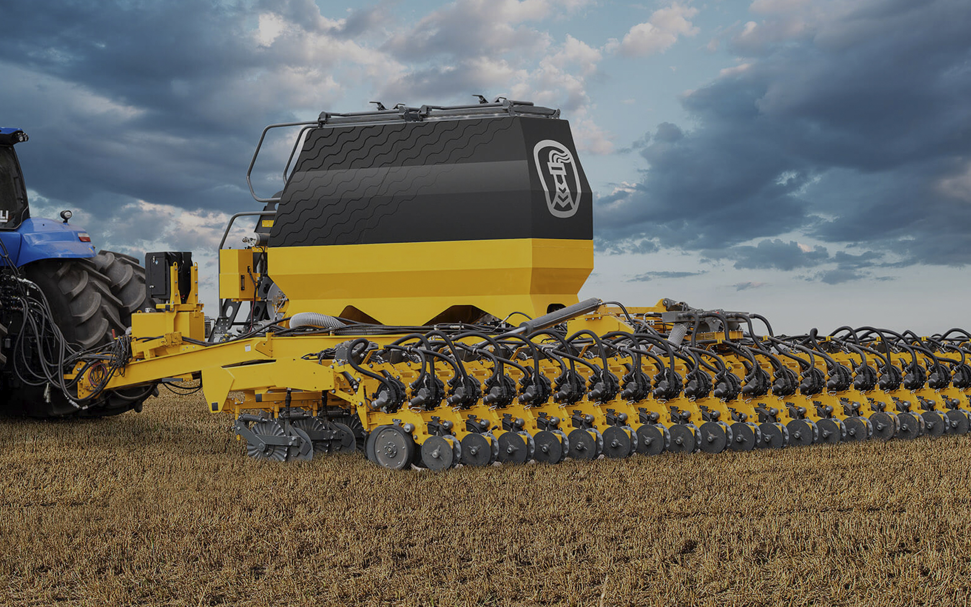 Single orange flower on the clear sky background.