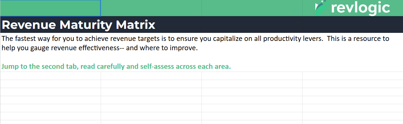Revenue maturity matrix