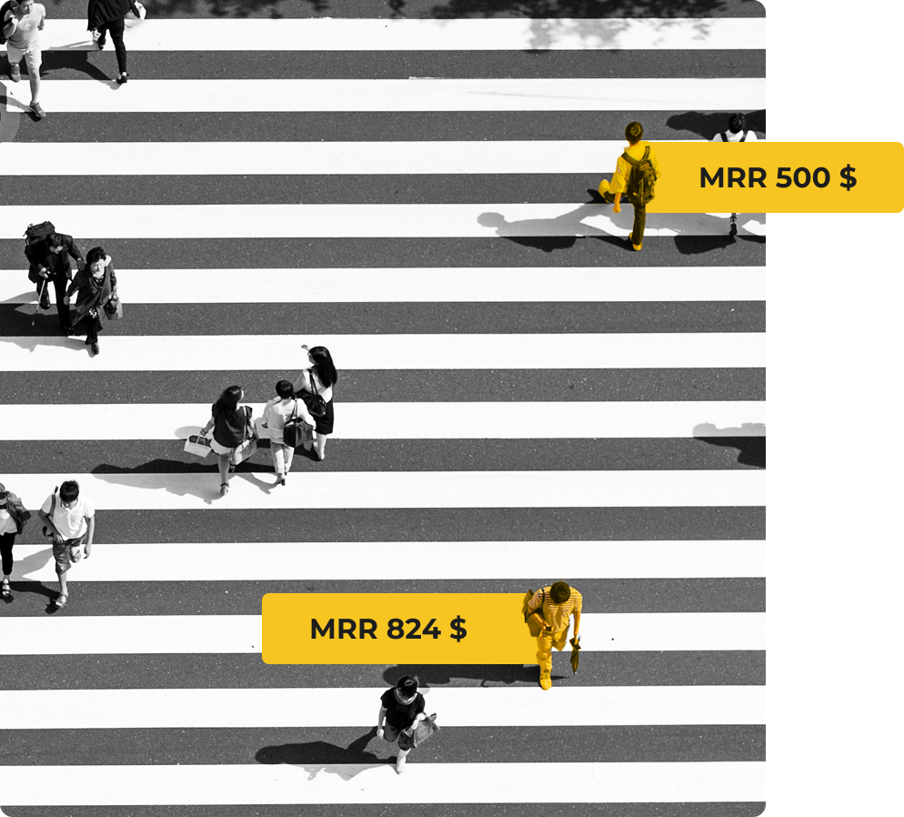Customer segmentation visualization highlighting high-value VIP customers by MRR, representing priority monitoring and alerts