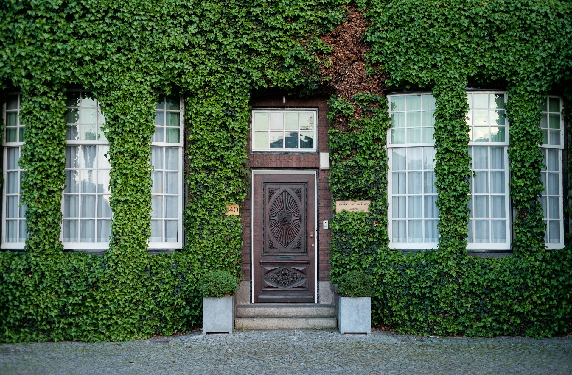 Blog Image