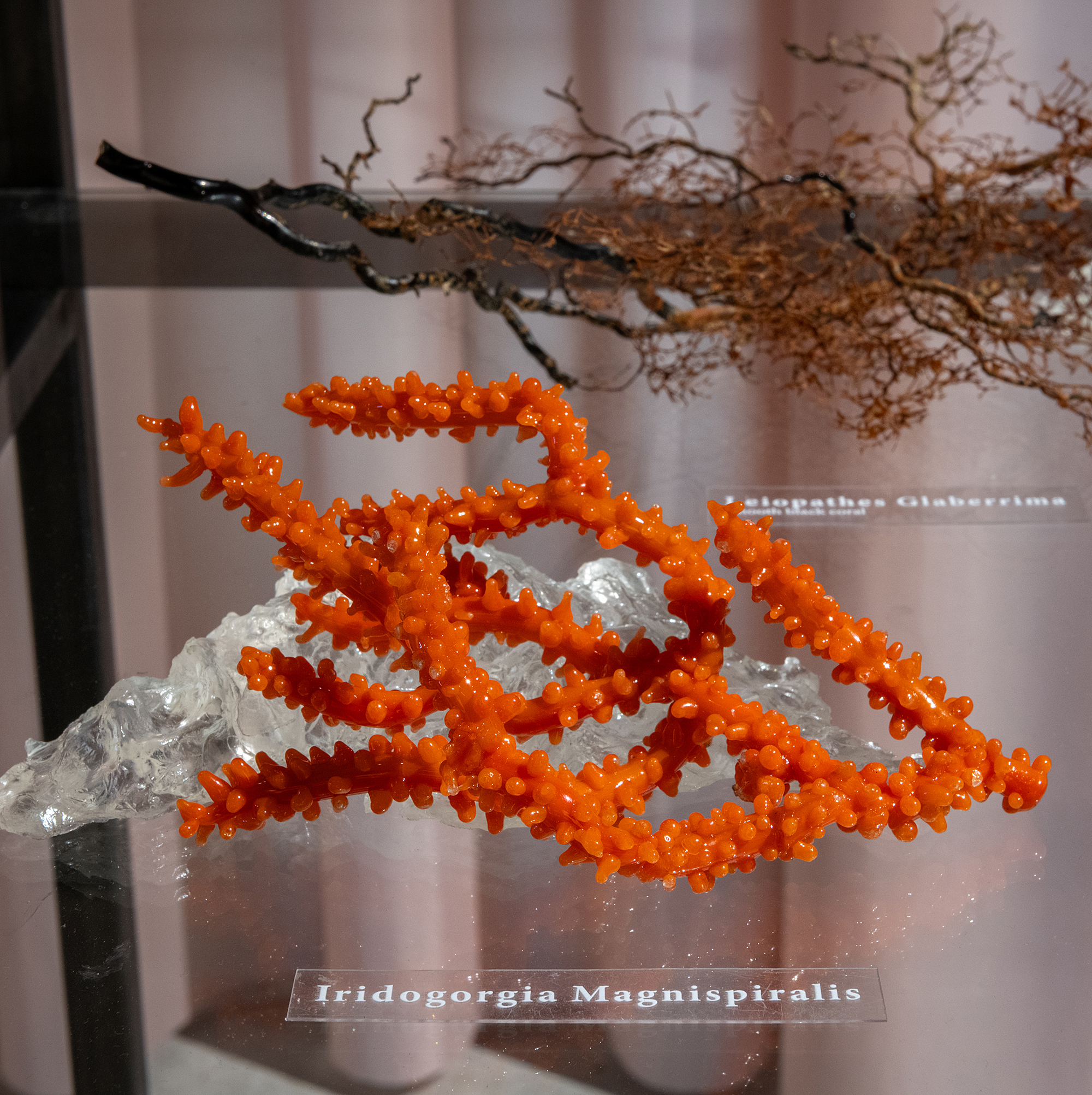 Depicting Dark Waters