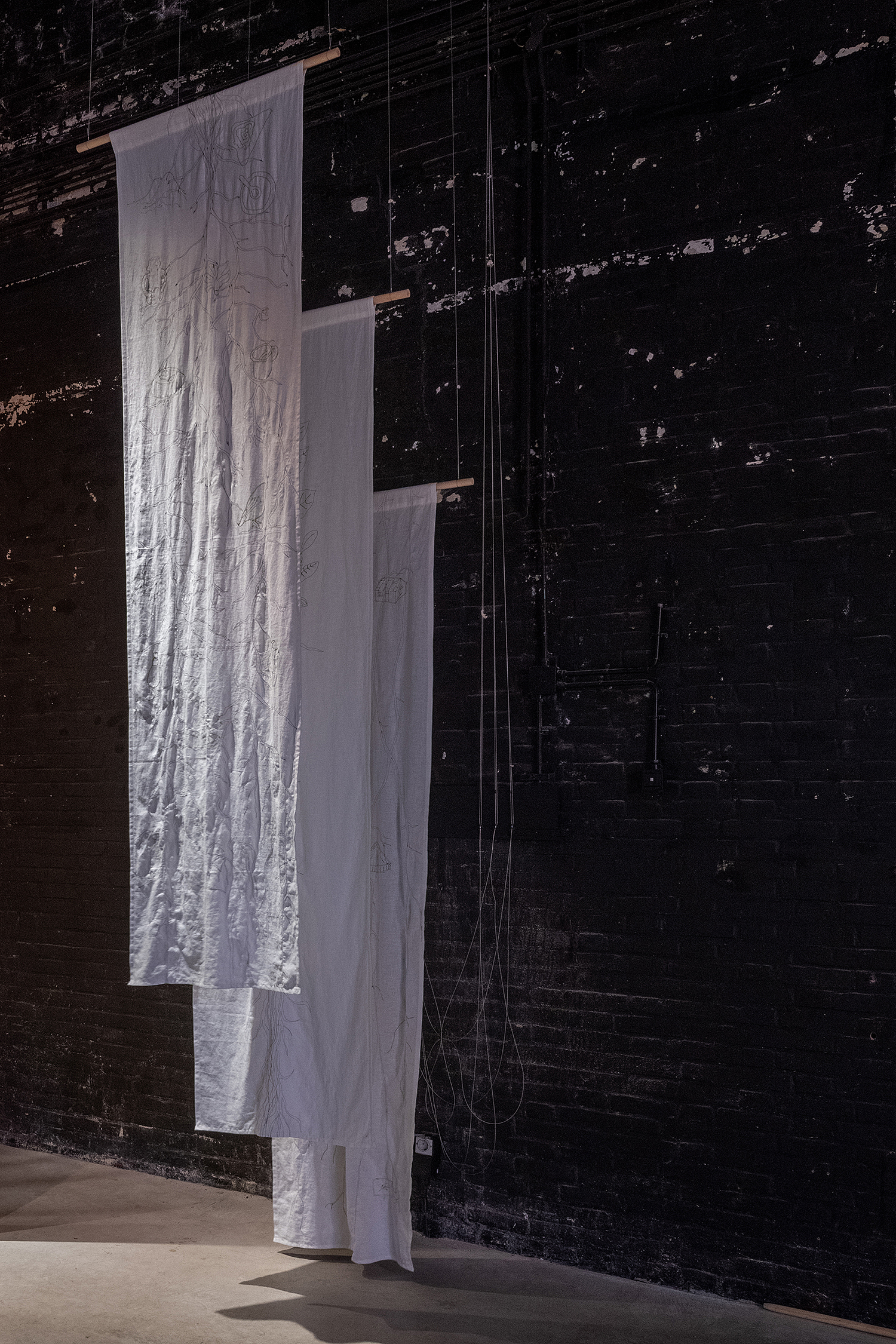 The Coca Leaf Entanglement