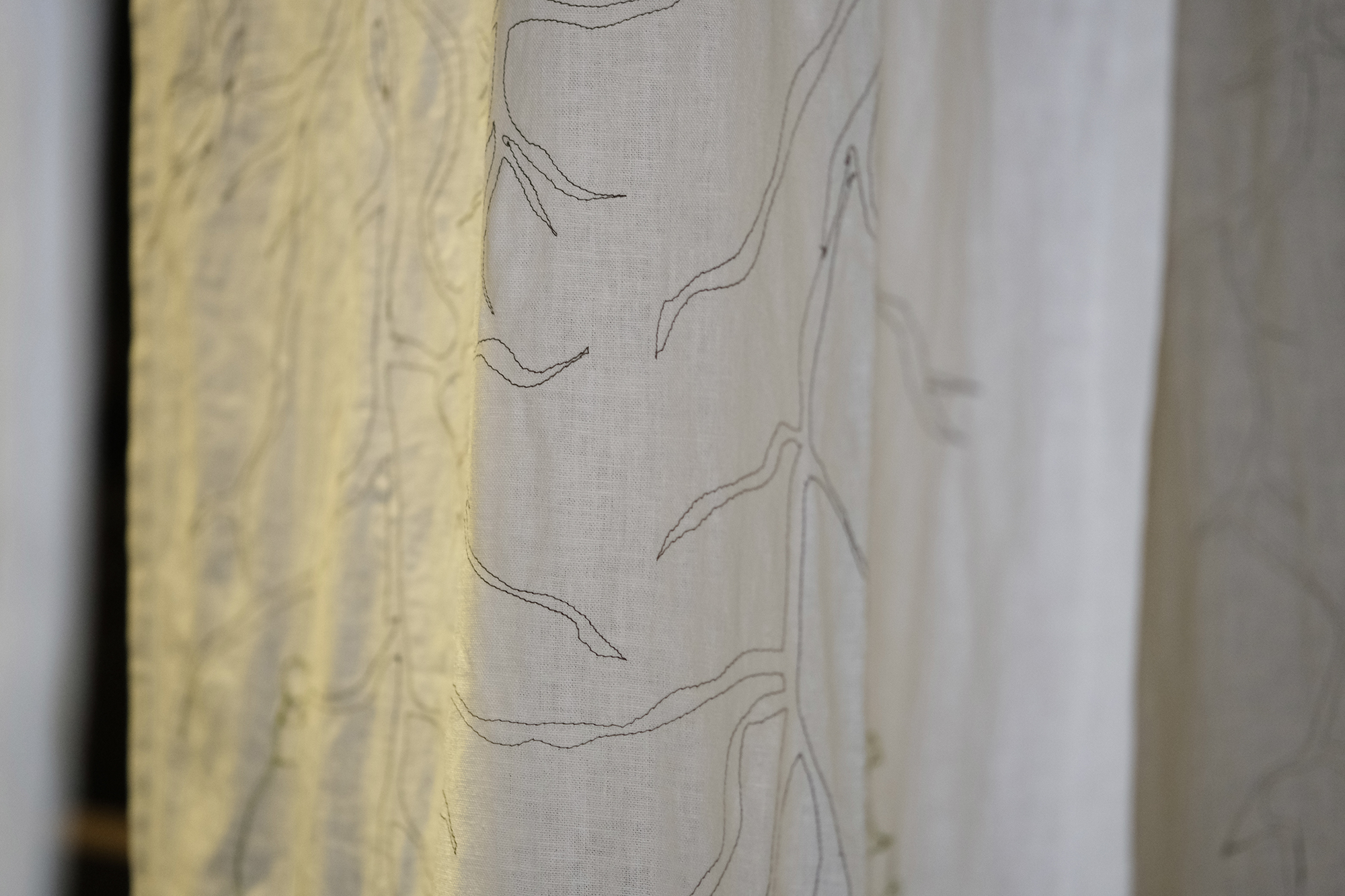 The Coca Leaf Entanglement