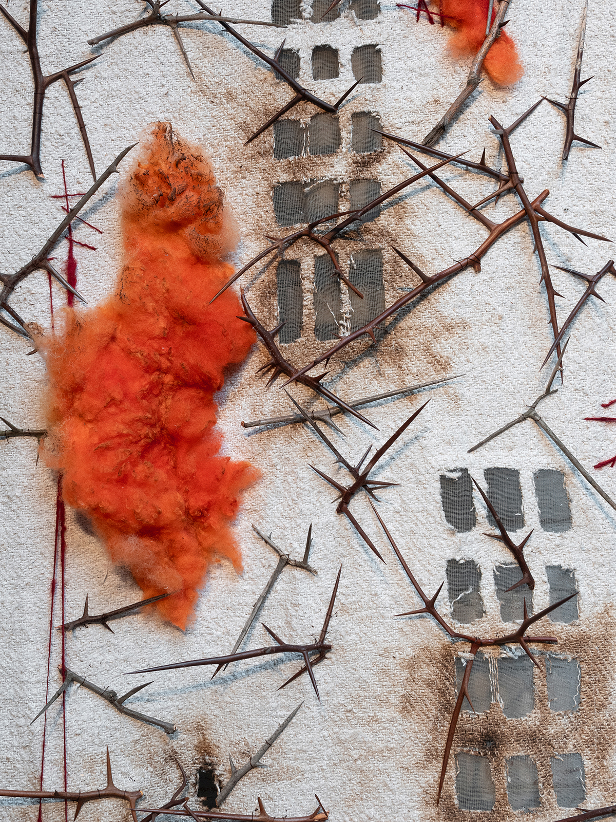 Fight Flight or Freeze