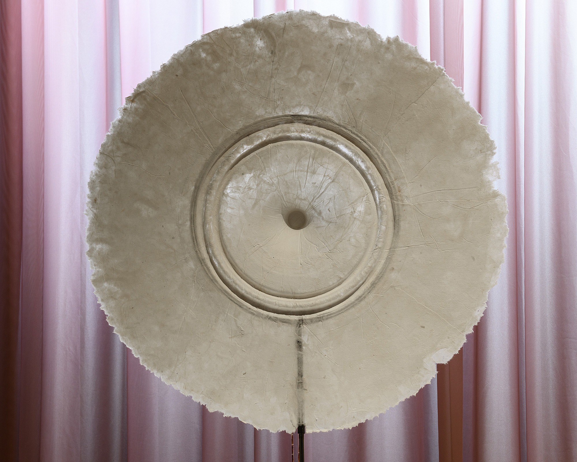 Anatomy of Sound