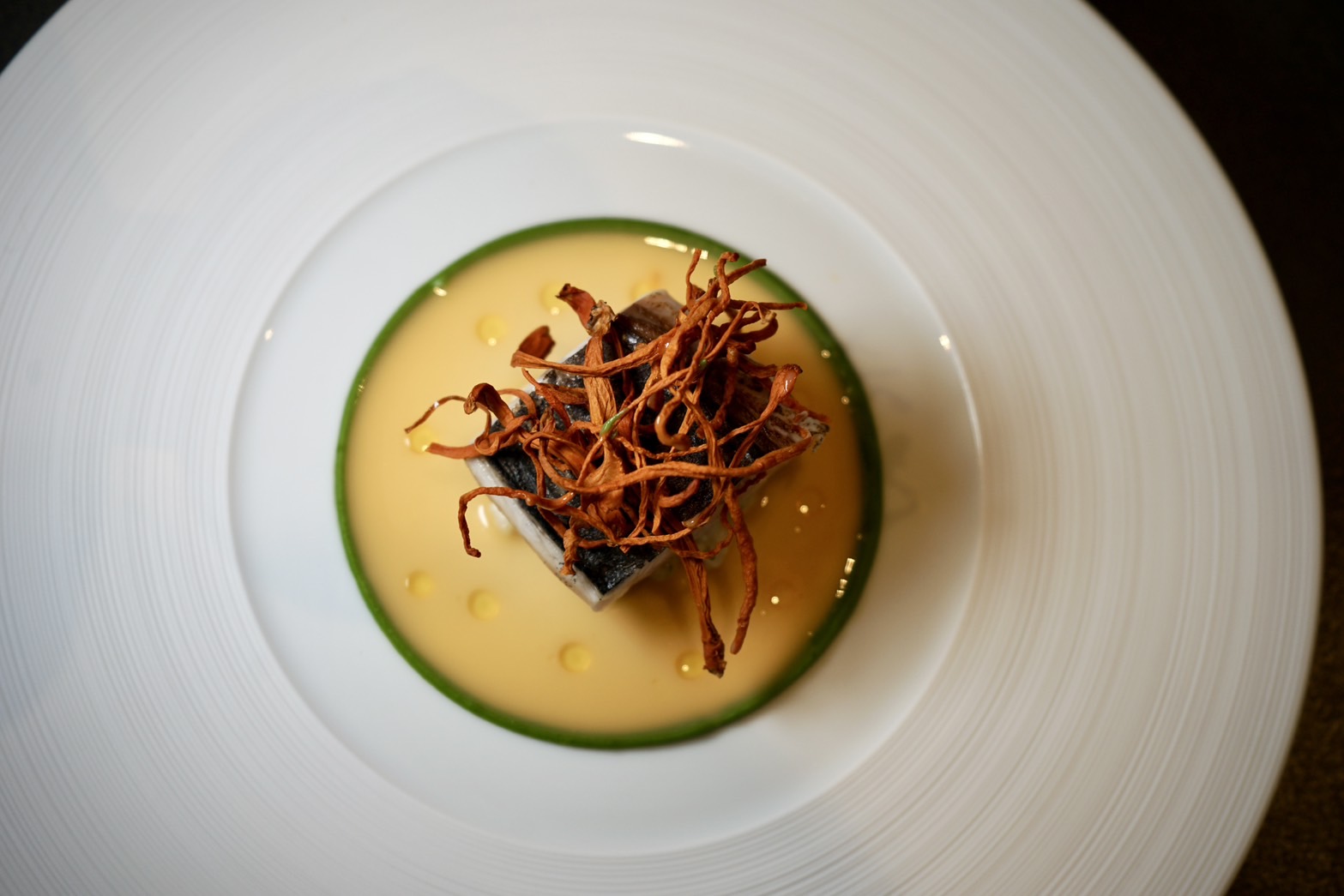 dish48