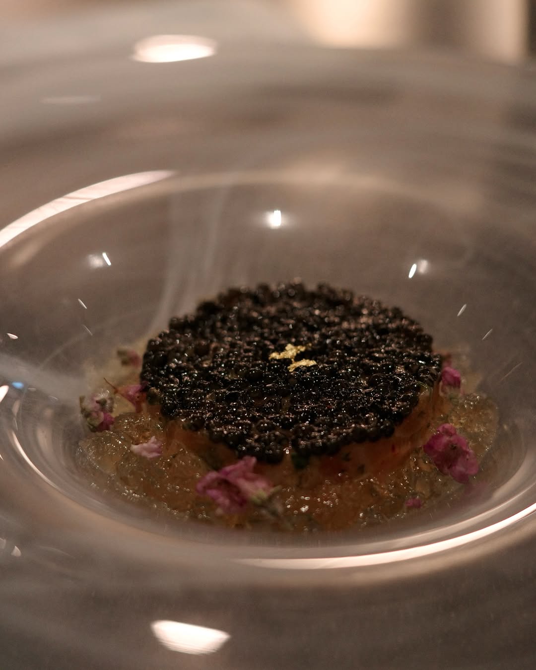 dish89