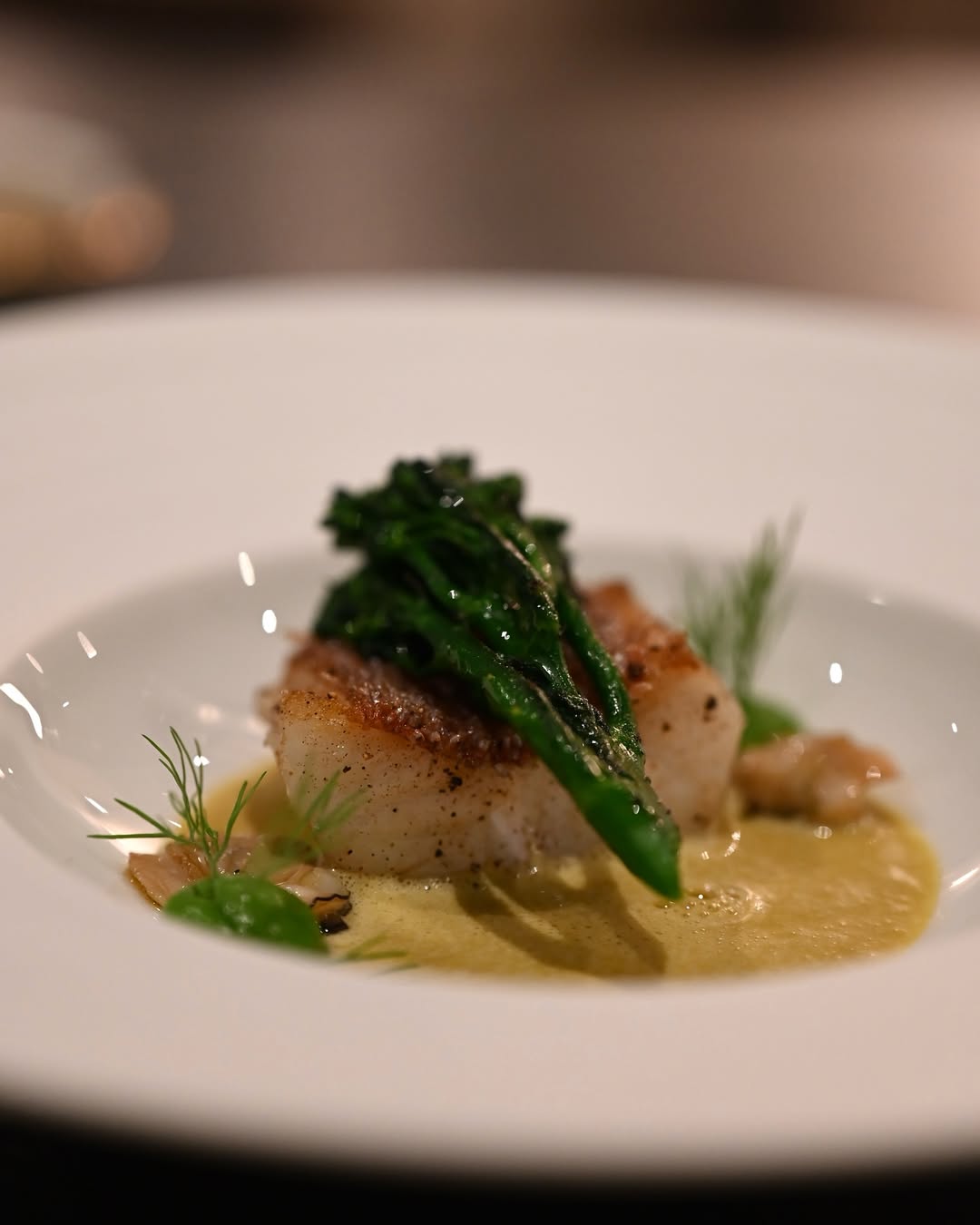 dish48