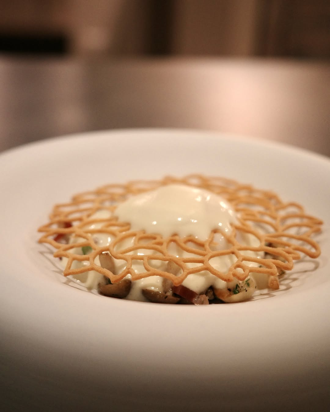 dish48