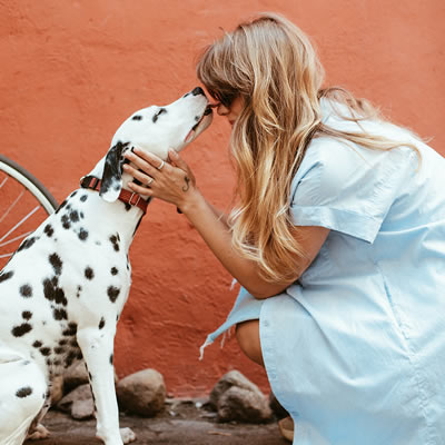 We are so proud of our client Healthy Pets Insurance on receiving this special judges award from the 2020 Product and Service Innovation Awards for improving customer experience. They are a great team to work with and it was a real team effort.