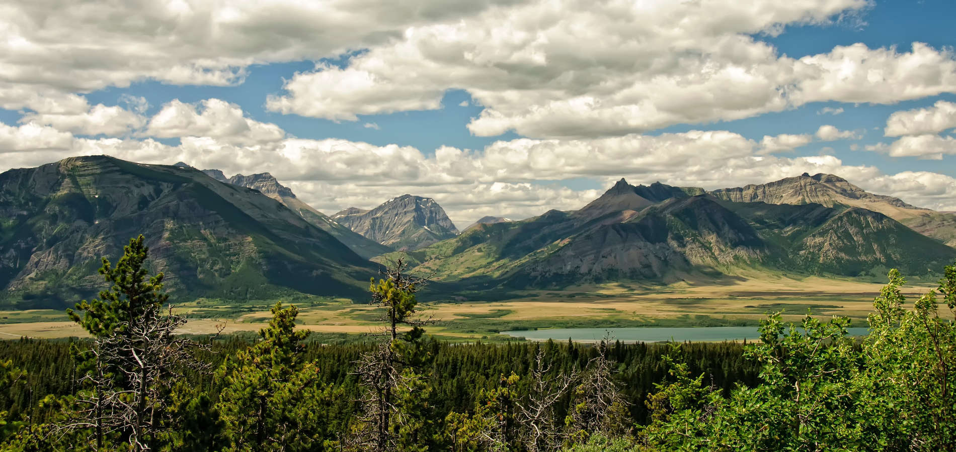 Fiber Internet in Evergreen, MT | Local, Fast, and Reliable | Vero Fiber