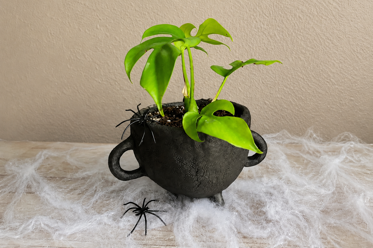 Cauldrons & Pumpkins Workshop