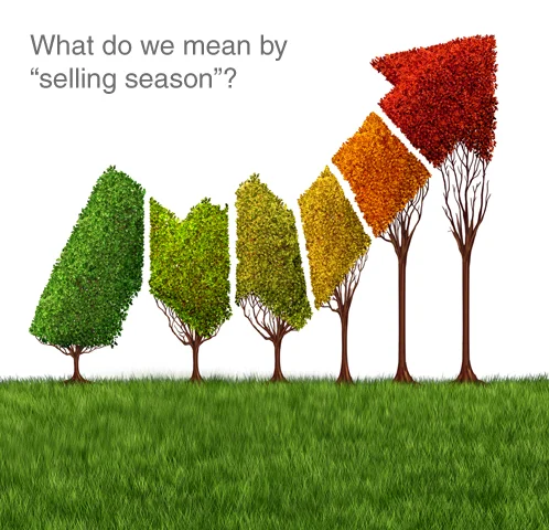 Selling Season
