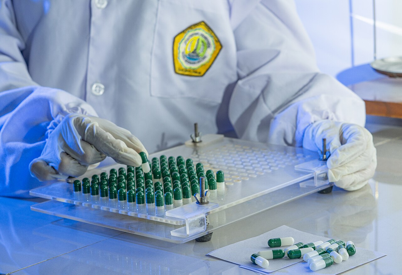 Rows of medicine capsules being arranged