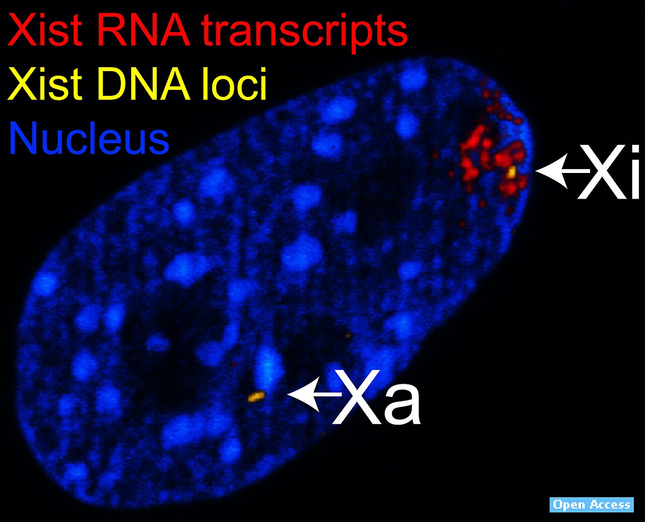 Article hero