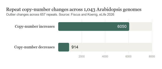 Bar chart: across 1,043 Arabidopsis genomes, 6,050 repeat copy-number increases were detected against 914 decreases