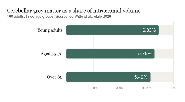 Bar chart of cerebellar grey matter as a percentage of total intracranial volume: 6.03% in young adults, 5.75% in adults aged 55 to 70, and 5.49% in adults over 80