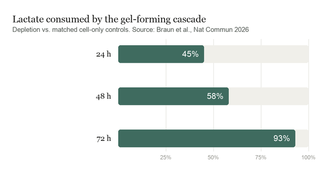 Bar chart showing lactate depletion of 45, 58 and 93 percent at 24, 48 and 72 hours