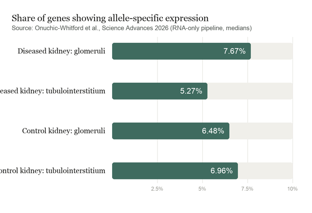 Bar chart comparing the median share of genes with allele-specific expression in glomeruli and tubulointerstitium, in diseased and control kidneys