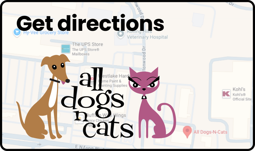 Map showing directions to All Dogs N Cats pet grooming salon in Columbia, MO.