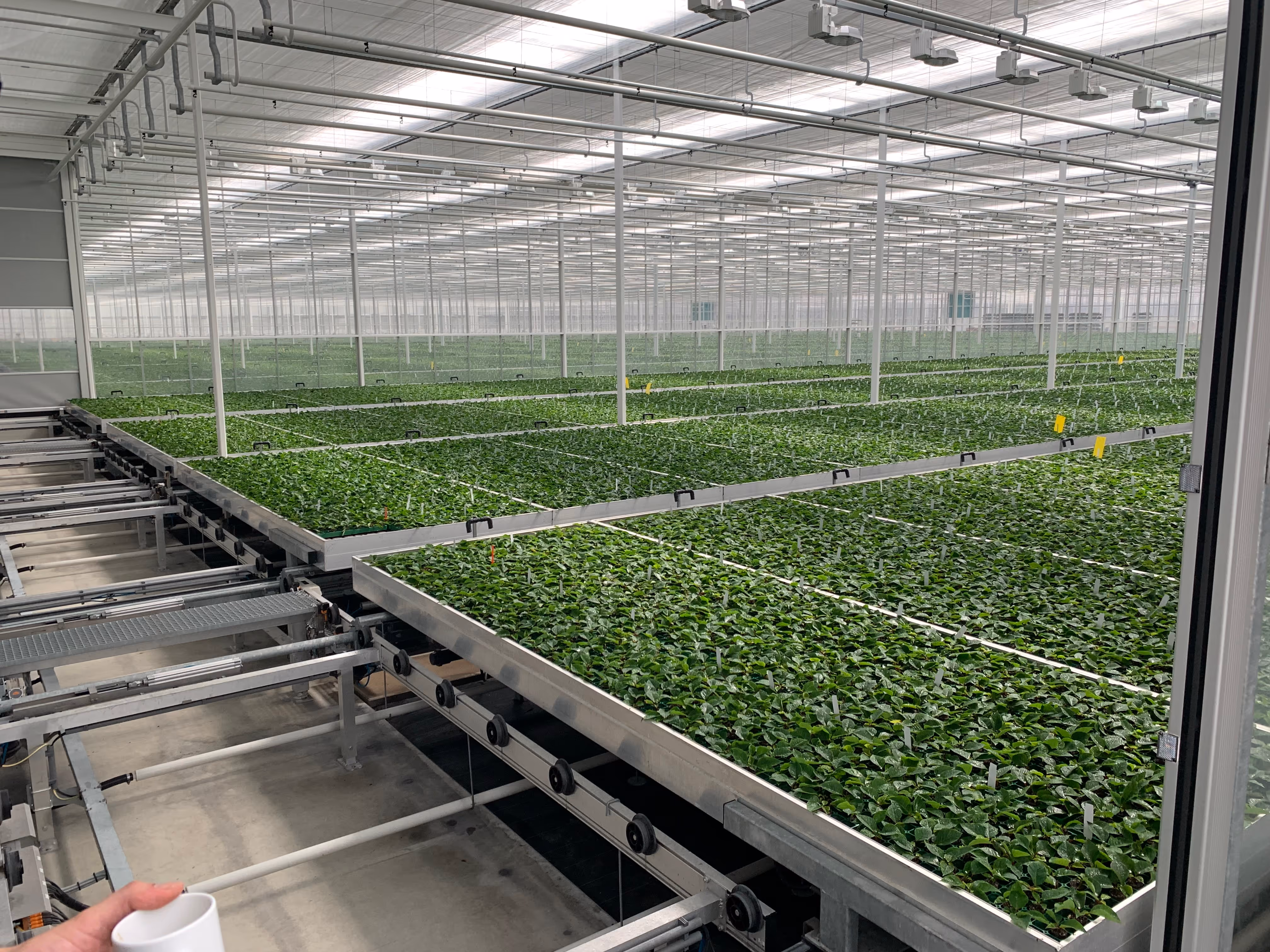 greenhouse solutions