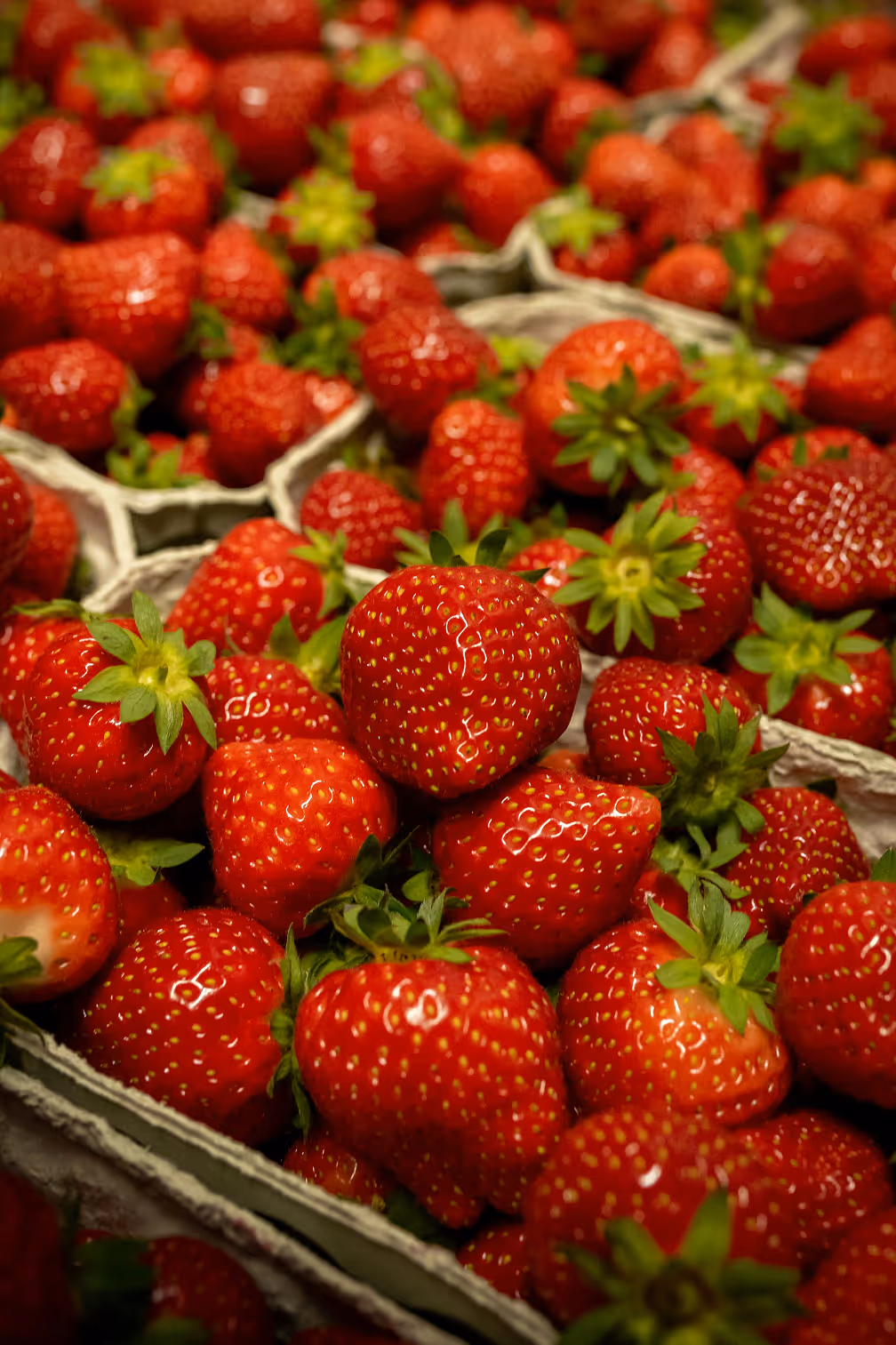 greenhouse solutions Strawberries